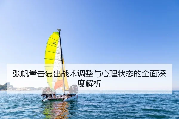 张帆拳击复出战术调整与心理状态的全面深度解析 - STAR SPORTS